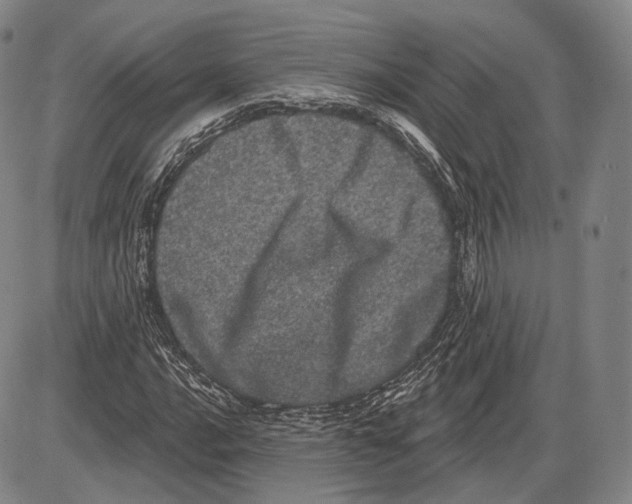 X0000085041016200704021248
