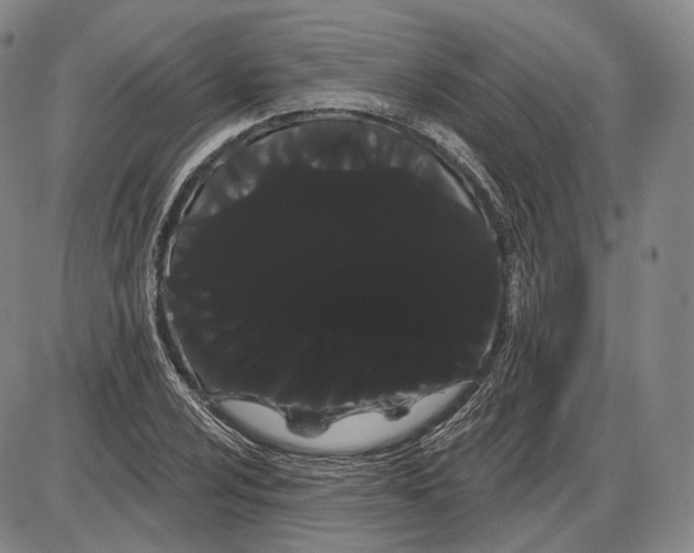 X0000085041024200704021248