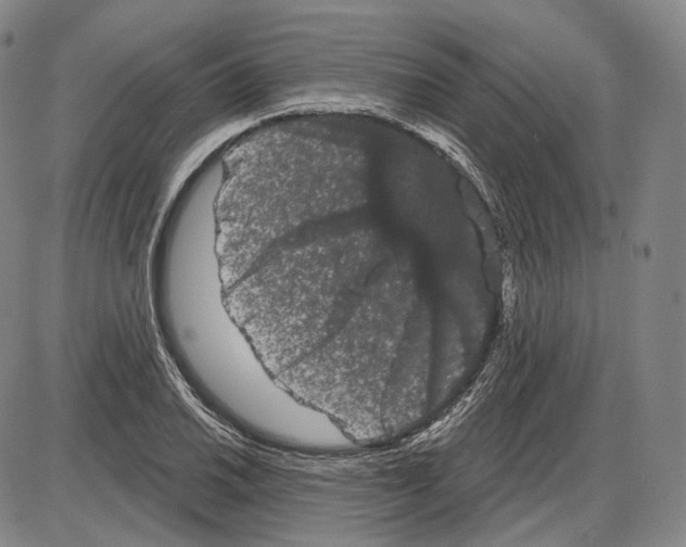 X0000085041030200704021248
