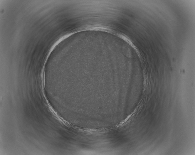 X0000085041032200704021248