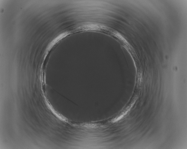 X0000085041034200704021248