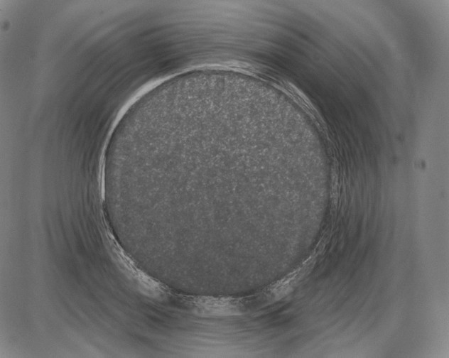 X0000085041036200704021248
