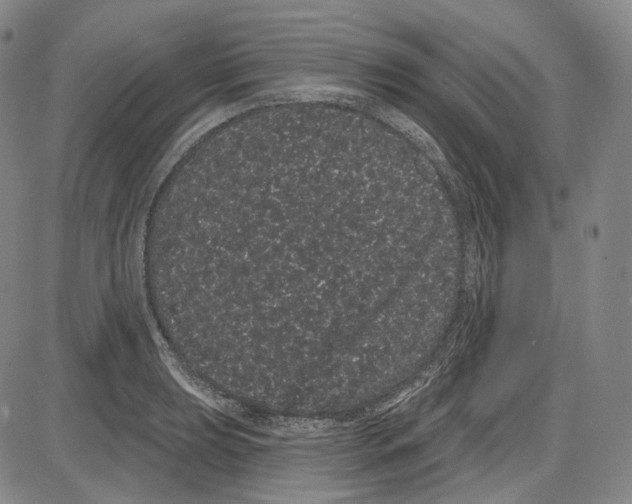 X0000085041039200704021248