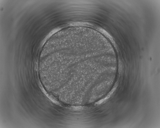 X0000085041041200704021248