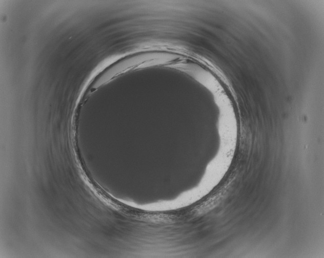 X0000085041045200704021248