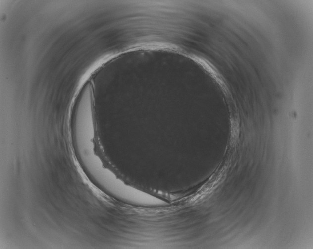 X0000085041046200704021249