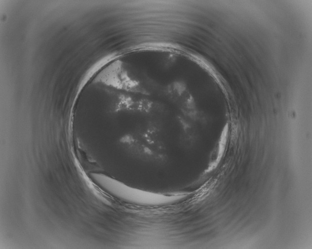 X0000085041050200704021249