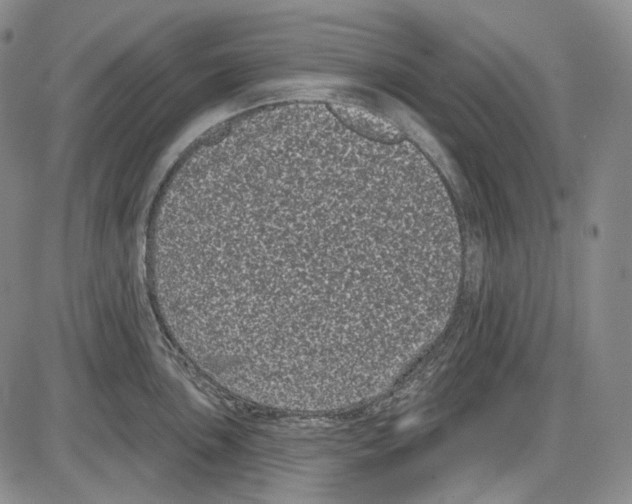 X0000085041051200704021249