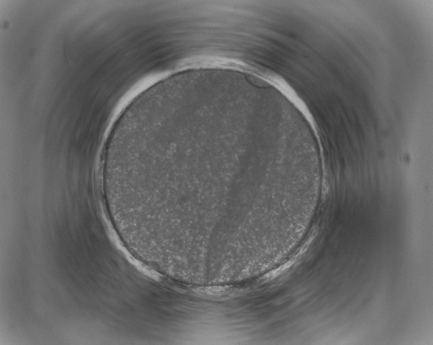 X0000085041053200704021249