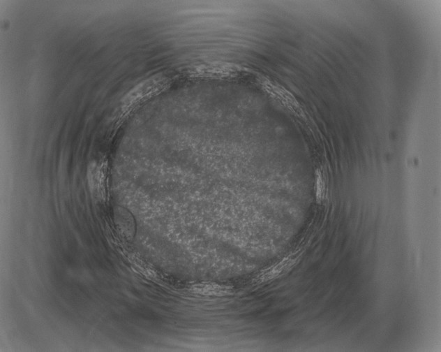 X0000085041059200704021248