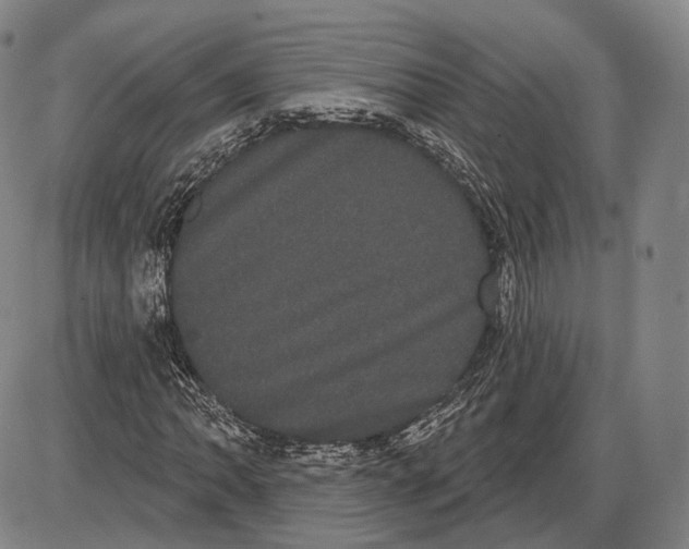 X0000085041062200704021248