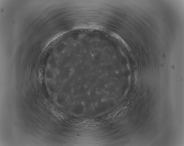 X0000085041064200704021248