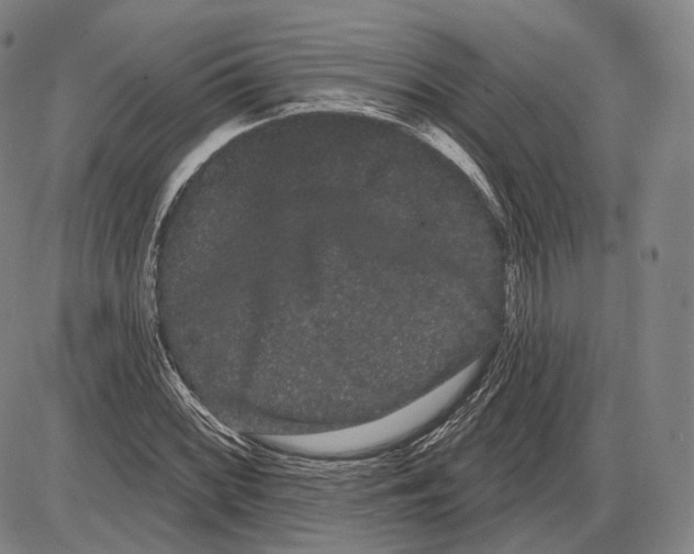 X0000085041068200704021248