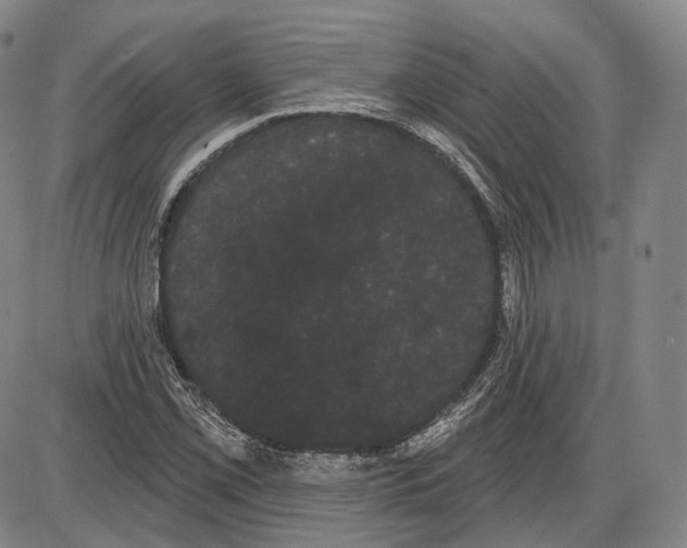 X0000085041069200704021248