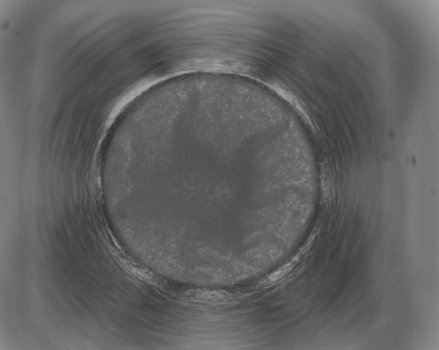 X0000085041070200704021248
