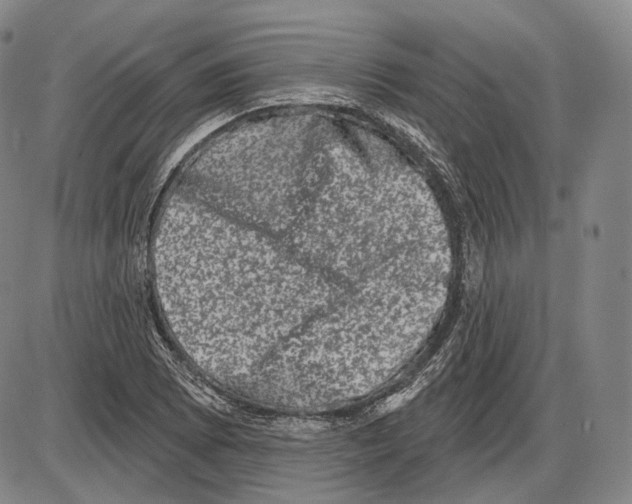 X0000085041073200704021248