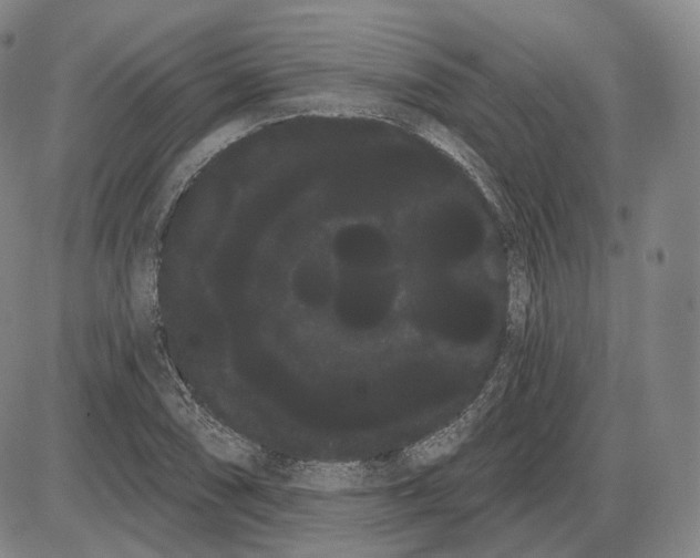 X0000085041074200704021248