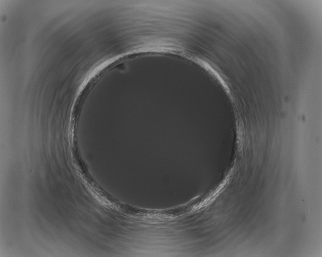 X0000085041077200704021248