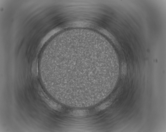 X0000085041078200704021248