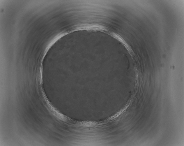 X0000085041079200704021248