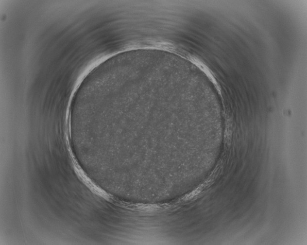 X0000085041080200704021247