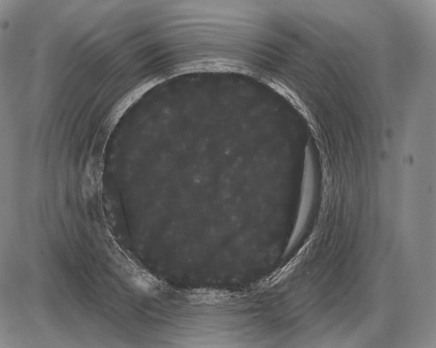 X0000085041081200704021247