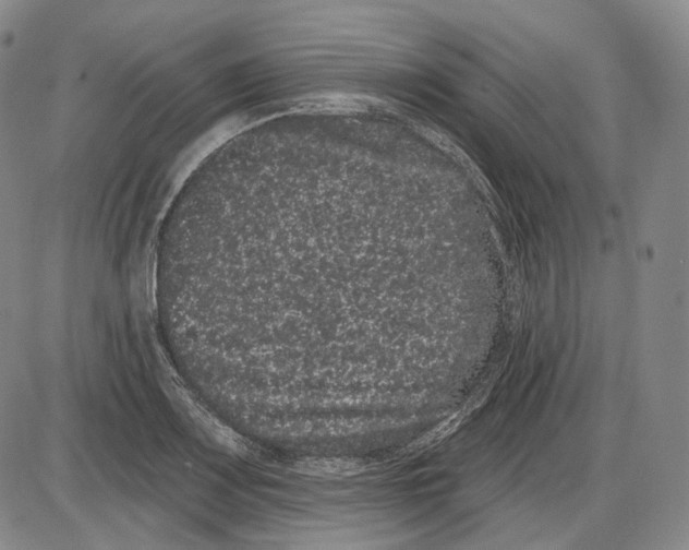 X0000085041083200704021247