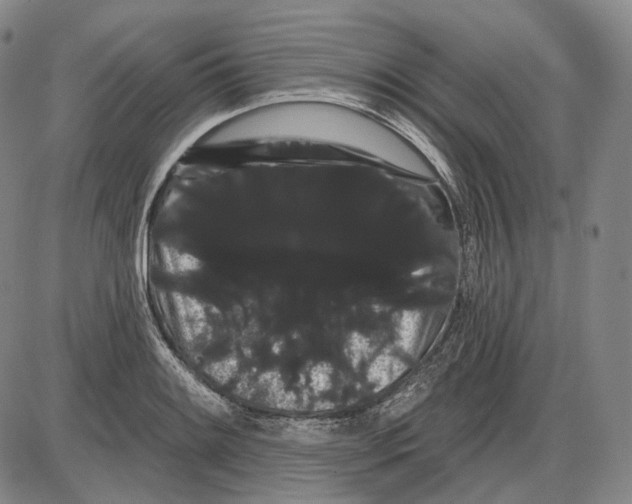 X0000085041084200704021247