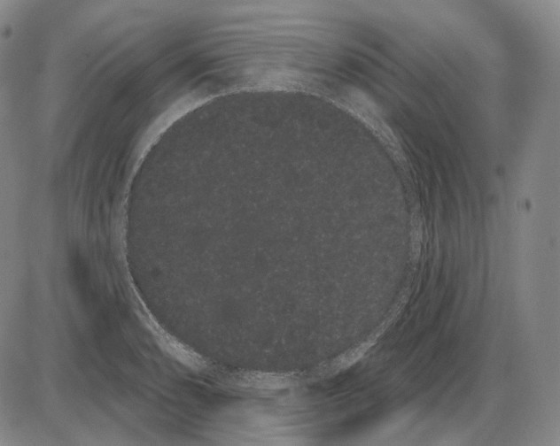 X0000085041086200704021247