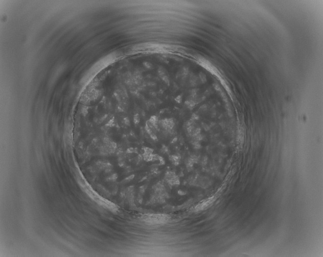 X0000085041090200704021247
