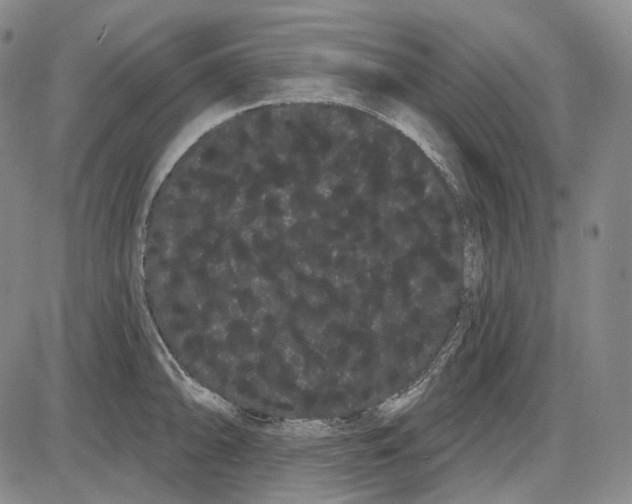 X0000085041094200704021247
