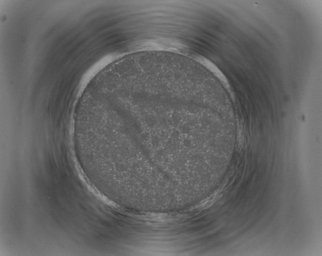 X0000085041096200704021247