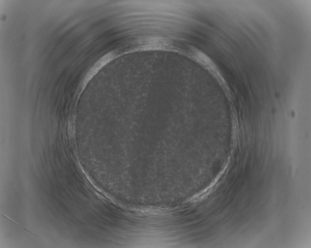 X0000085041097200704021247