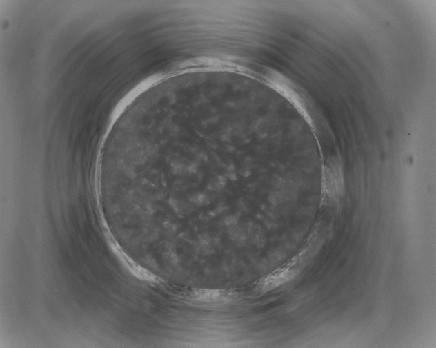 X0000085041098200704021247