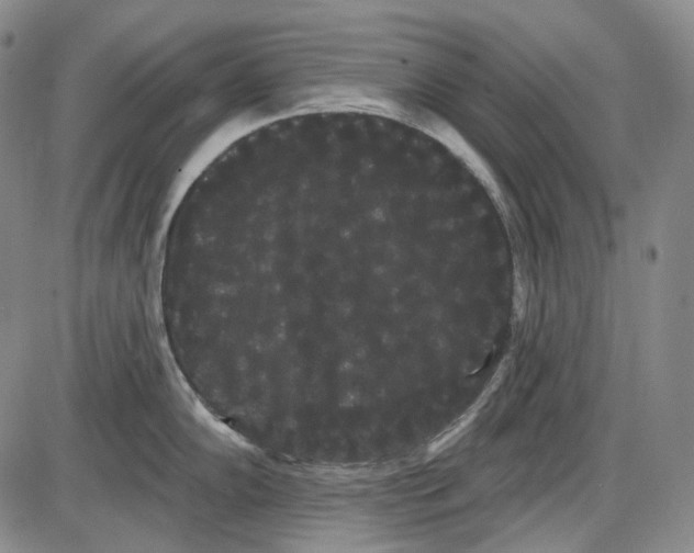 X0000085041102200704021247