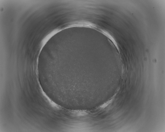 X0000085041103200704021247