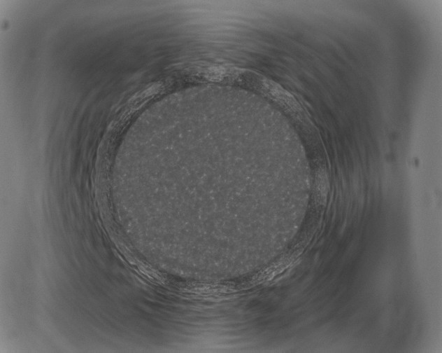 X0000085041105200704021246