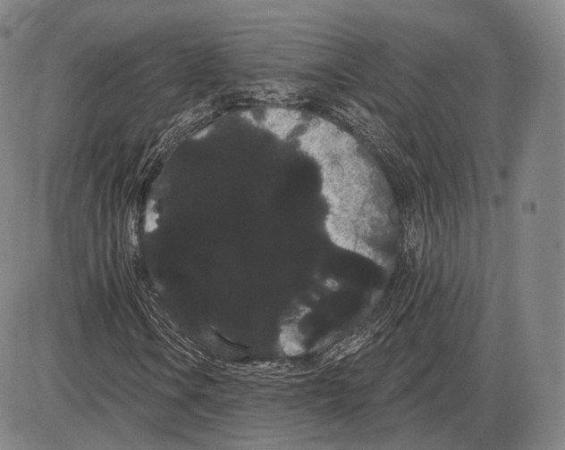 X0000085041106200704021246