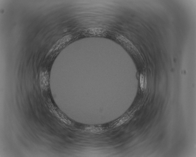 X0000085041107200704021246