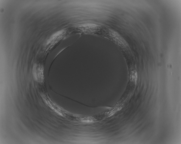 X0000085041108200704021246