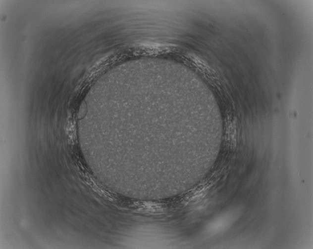 X0000085041109200704021246