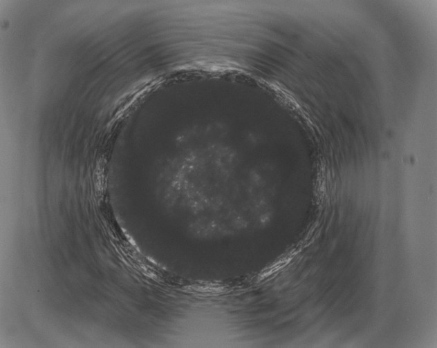 X0000085041110200704021246