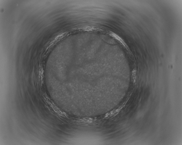 X0000085041111200704021246