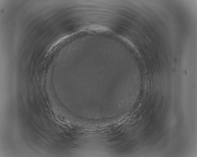 X0000085041112200704021246