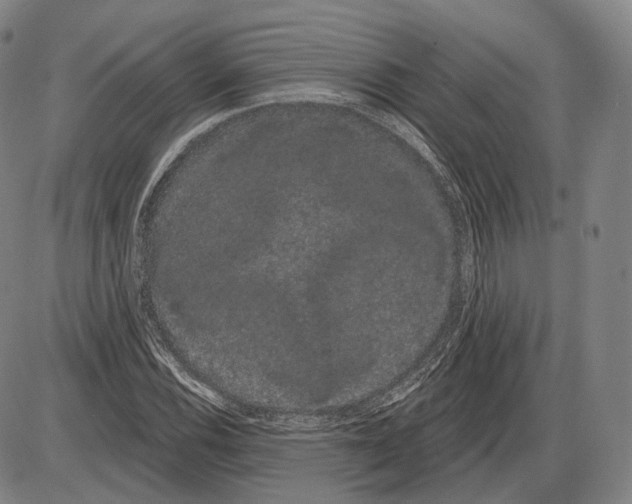 X0000085041116200704021246