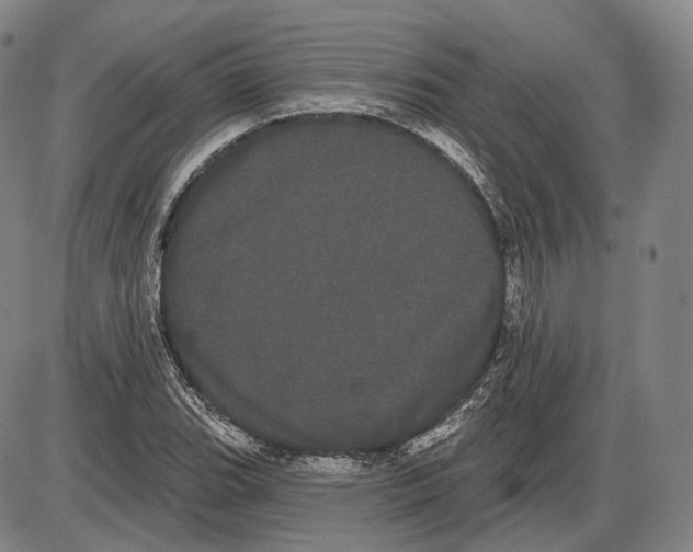 X0000085041119200704021247