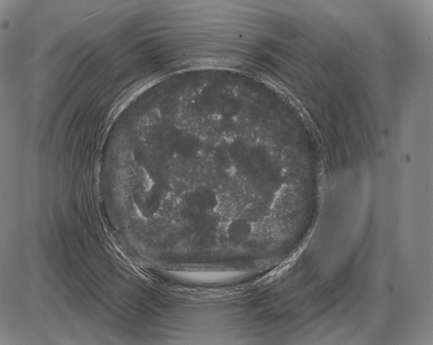 X0000085041121200704021247