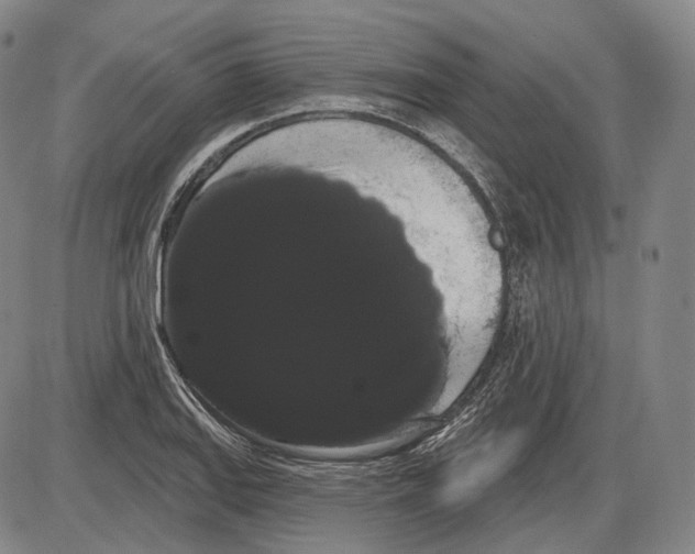 X0000085041127200704021247