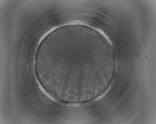 X0000085041134200704021247