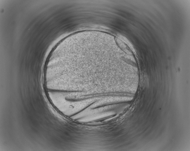 X0000085041136200704021247